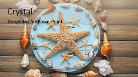  Presentation with frame - Colorful PPT layouts enhanced with frame shaped seashells on wooden backdrop and a  colored foreground