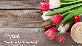  Presentation with tulips - Slide deck featuring frame thank - colorful tulips bouquet and coffee background and a coral colored foreground