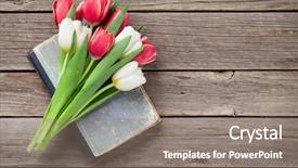  Presentation with old book - Slide deck consisting of frame thank - colorful tulips bouquet over old background and a gray colored foreground