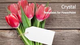  Presentation with tulips - Colorful PPT layouts enhanced with frame thank - red tulips bouquet on wooden backdrop and a  colored foreground