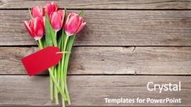 Presentation with thank - Audience pleasing slide set consisting of frame thank - red tulips bouquet on wooden backdrop and a  colored foreground