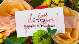  Presentation with thank - Slides having frame thank - roses bouquet and greeting card background and a lemonade colored foreground