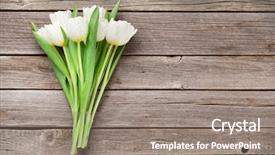  Presentation with tulips - Cool new presentation design with frame thank - white tulips bouquet on wooden backdrop and a gray colored foreground