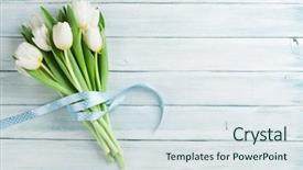  Presentation with tulips - Slide set having frame thank - white tulips bouquet on wooden background and a  colored foreground