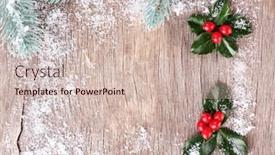  Presentation with holly - Presentation having frame-with-european-holly-ilex background and a soft green colored foreground