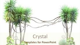  Presentation with liana - PPT layouts consisting of frame-with-palm-liana-branches background and a cream colored foreground
