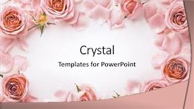  Presentation with frame pink - Audience pleasing presentation theme consisting of frame with pink rose backdrop and a cool aqua colored foreground