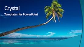  Presentation with south beach - Cool new theme with framed by palm leaves samoa backdrop and a navy blue colored foreground