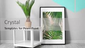  Presentation with sago - Slide deck having framed picture of tropical leaves and sago palm on color wall background background and a light gray colored foreground