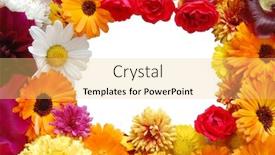  Presentation with framework - Slides having framework-from-flowers-with-petals background and a yellow colored foreground