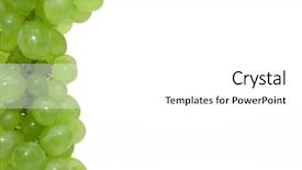  Presentation with framework - Colorful slides enhanced with framework from ripe grapes backdrop and a white colored foreground