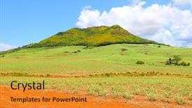  Presentation with sugar cane - Audience pleasing slide deck consisting of france reunion - plantation of sugar cane backdrop and a gold colored foreground