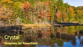  Presentation with forests - Cool new slide set with francophone - foliage of autumn forests is backdrop and a tawny brown colored foreground
