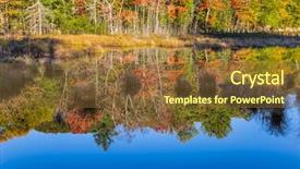  Presentation with forests - Cool new presentation with francophone - multicolored foliage of autumn forests backdrop and a tawny brown colored foreground