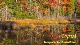  Presentation with forests - Slides having francophone - multicolored foliage of autumn forests background and a tawny brown colored foreground