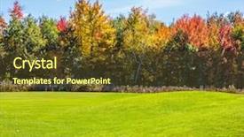  Presentation with beautiful green - Colorful slide deck enhanced with francophone - vicinities of montreal french canada backdrop and a tawny brown colored foreground