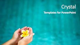  Presentation with flower - Presentation design enhanced with frangipani flower in female hands background and a teal colored foreground