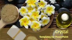  Presentation with alternative - PPT layouts having  background and a  colored foreground