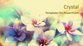  Presentation with hawaiian - Beautiful slide set featuring hawaiian garden backdrop and a cream colored foreground