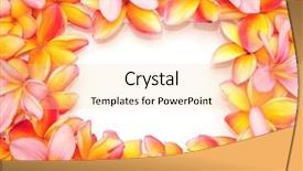  Presentation with plumeria - Beautiful presentation featuring plumeria flower frame backdrop and a sky blue colored foreground