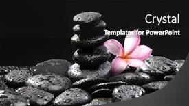  Presentation with frangipani flowers - PPT theme having frangipani flowers and stones on wet pebble background and a black colored foreground