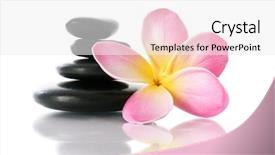  Presentation with frangipani flowers - Audience pleasing theme consisting of frangipani flowers and zen spa backdrop and a white colored foreground