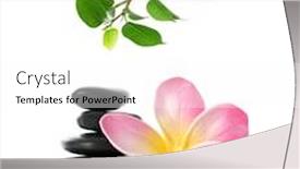  Presentation with frangipani flowers - PPT theme featuring frangipani flowers and zen spa stones on white background background and a white colored foreground