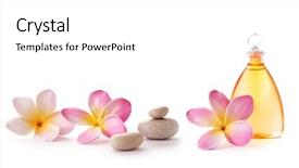  Presentation with frangipani flowers - Beautiful theme featuring frangipani flowers and zen spa stones on white background backdrop and a white colored foreground