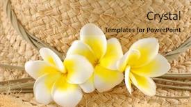  Presentation with frangipani flowers - Theme with frangipani plumeria flowers with starw background and a yellow colored foreground