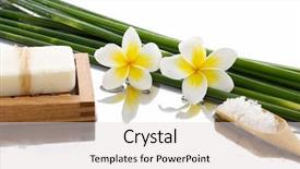  Presentation with bamboo - Colorful PPT theme enhanced with frangipani with bamboo grove salt backdrop and a light gray colored foreground