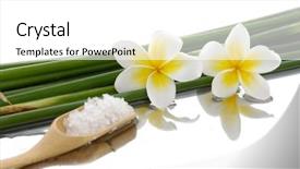  Presentation with bamboo - PPT theme enhanced with frangipani with bamboo grove salt background and a white colored foreground