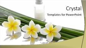  Presentation with rafting on bamboo rafts - Audience pleasing slides consisting of frangipani with bamboo grove salt backdrop and a white colored foreground