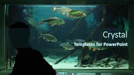  Presentation with zoo - Slide set featuring frankfurt-germany-june-15-2015 background and a ocean colored foreground