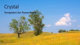  Presentation with blue yellow - PPT theme featuring fre - yellow meadow wuth tree background and a  colored foreground