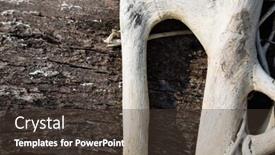  Presentation with tree roots - Audience pleasing PPT theme consisting of freakish-roots-of-a-tree backdrop and a tawny brown colored foreground