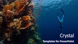  Presentation with egypt - Presentation theme featuring free - freediver descending along the vivid background and a navy blue colored foreground