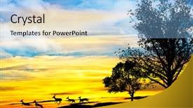  Presentation with mountain - Colorful PPT theme enhanced with free africa - goats running down the mountain backdrop and a light blue colored foreground