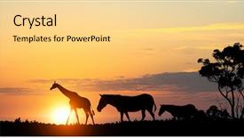  Presentation with africa safari - Slide deck featuring free africa - natural safari landscape in lights background and a blonde colored foreground