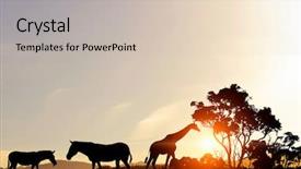 Presentation with nature sunset of colors - Amazing slide deck having free africa - natural safari landscape in lights backdrop and a soft green colored foreground