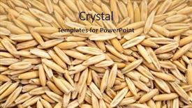 Presentation with organic - Beautiful slides featuring free agriculture - macro shot of oats organic backdrop and a yellow colored foreground