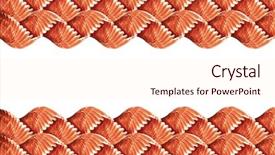  Presentation with anatomy - PPT theme enhanced with free anatomy - abstract texture of pigeon wings background and a cream colored foreground