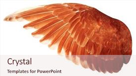  Presentation with angel wings - Audience pleasing PPT theme consisting of free anatomy - angel wing isolated on white backdrop and a lemonade colored foreground