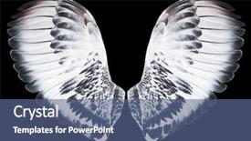  Presentation with angel wings - Audience pleasing PPT theme consisting of free anatomy - angel wings isolated on black backdrop and a ocean colored foreground