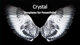  Presentation with angel wings - Cool new presentation theme with free anatomy - angel wings isolated on black backdrop and a black colored foreground
