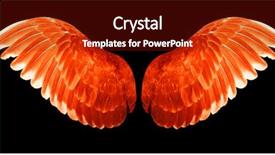  Presentation with angel wings - Colorful theme enhanced with free anatomy - angel wings isolated on black backdrop and a tawny brown colored foreground