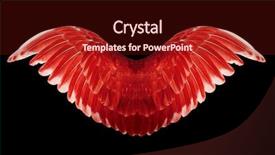  Presentation with angel wings - PPT theme having free anatomy - angel wings isolated on black background and a tawny brown colored foreground