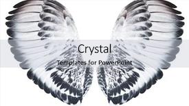  Presentation with angel wings - Beautiful PPT theme featuring free anatomy - angel wings isolated on white backdrop and a light gray colored foreground