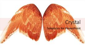  Presentation with angel wings - Beautiful PPT theme featuring free anatomy - angel wings isolated on white backdrop and a coral colored foreground