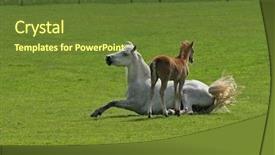  Presentation with welsh - Audience pleasing PPT theme consisting of free b - foal standing with its mother backdrop and a tawny brown colored foreground