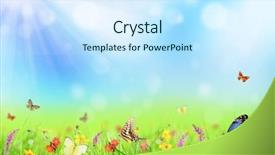  Presentation with butterflies - Slides featuring free background flower - beautiful spring meadow with butterflies background and a sky blue colored foreground